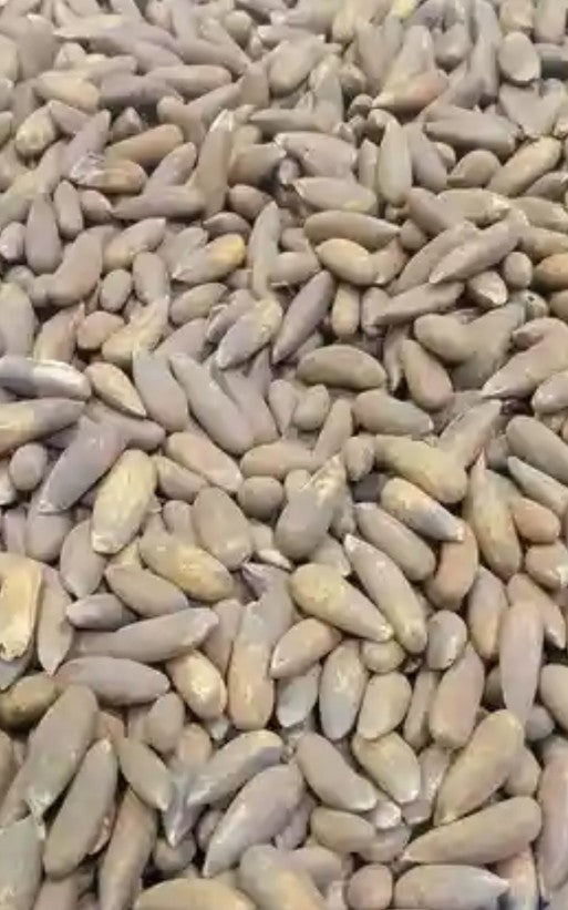 Dry Fruits